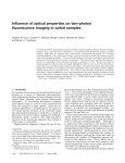 Influence of optical properties on two-photon fluorescence