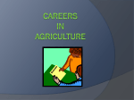 Careers in Agriculture