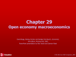 Chater 29 Open economy macroeconomics
