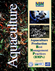 Aquaculture Production Aquaculture Production Best Management