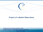 DG Mare Market Observatory