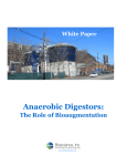 Anaerobic Digestors