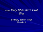 From Mary Chestnut`s Civil War