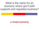 What is the name for an economy where gov`t both supports and