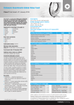 Delaware Investments Global Value Fund - fund