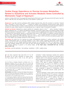 Cardiac Energy Dependence on Glucose Increases