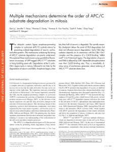 Multiple mechanisms determine the order of APC/C substrate