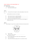 Cell Continuity