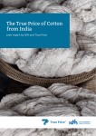 The True Price of Cotton from India