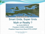 Smart Grids