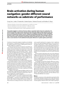 Brain activation during human navigation: gender
