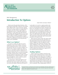 Introduction To Options - Michigan State University