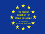 The EU market for tilapia Trends, issues and outlook