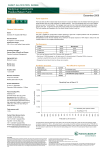 Nedgroup Investments Positive Return Fund