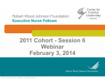 2011 Cohort - Session 6 Webinar February 3, 2014