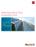 Wells Fargo Short Term Investment Fund