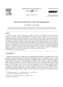 Electricity derivatives and risk management
