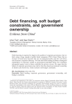 Debt financing, soft budget constraints, and government