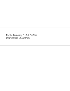 Public Company (US) Profiles (Market Cap <$500mm)