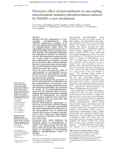 Protective eVect of metronidazole on uncoupling mitochondrial