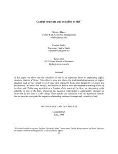 Capital structure and volatility of risk