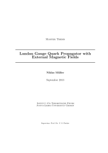 Landau Gauge Quark Propagator with External Magnetic Fields