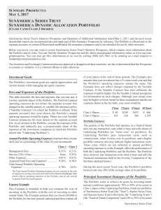 SunAmerica Dynamic Allocation Portfolio Summary