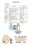 S3 Biology Revision