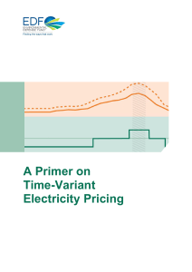 A Primer on Time-Variant Electricity Pricing