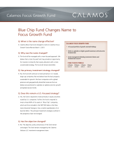 Blue Chip Fund Changes Name to Focus Growth Fund