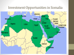 Investment Opportunities in Somalia