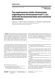 Two supernumerary marker chromosomes