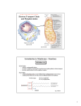 Electron Transport Chain and Phosphorylation Introduction to