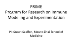 PRIME Program for Research on Immune Modeling