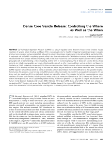 Dense Core Vesicle Release: Controlling the Where as