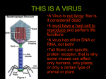 this is a virus