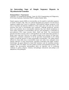 An Interesting Saga of Simple Sequence Repeats in