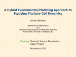 Metabolic and Electrical Oscillations: Partners in