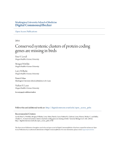 Conserved syntenic clusters of protein coding genes are missing in