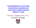 Considerations to overcome downstream resistance to melanoma
