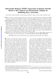 Simvastatin Reduces MMP1 Expression in Human Smooth Muscle