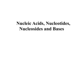 Nucleotides. Nucleic Acid, and Heredity