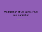 Modification of Cell Surface/ Cell Communication