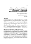 Mitogen-Activated Protein Kinases and Mitogen