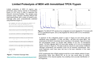 Limited Proteolysis