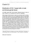 Chapter 6.2 Distribution of HIV-1 target cells in male and female