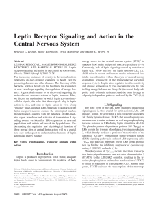 Leptin Receptor Signaling and Action in the Central Nervous System