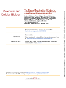 Presequence-Independent Manner Transported by the TIM23