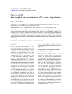 New insights into regulation of p53 protein degradation