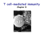 T cell - Academic Resources at Missouri Western